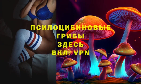 мет Алексин