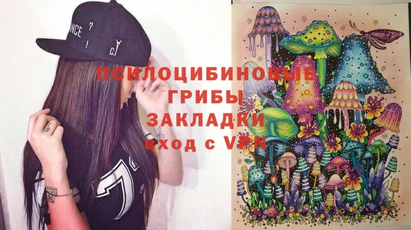 мет Алексин